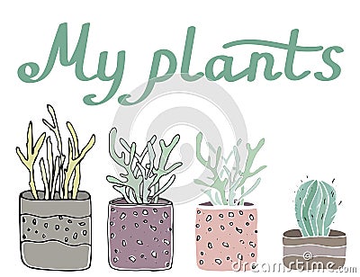 Sety cosy vector illustration elements - potted plants. Vector Illustration